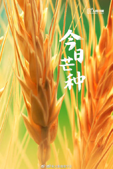 爱问共享手机版爱问共享资料手机版
