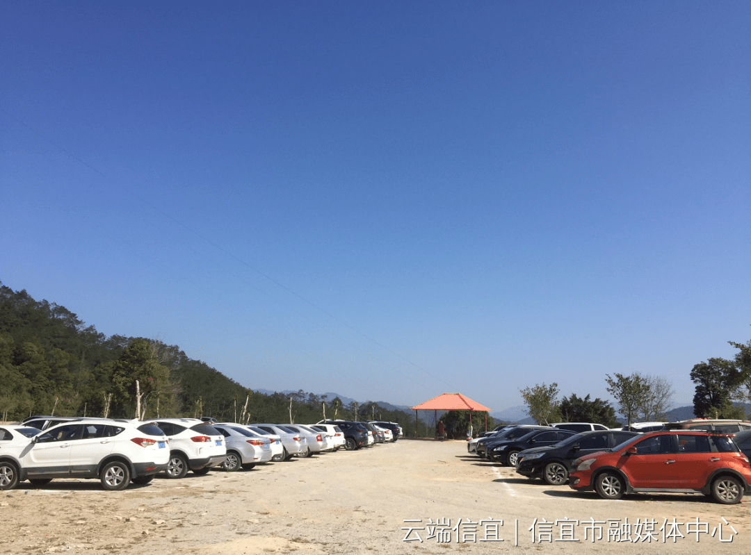 云端信宜苹果版虚拟云手机免费版